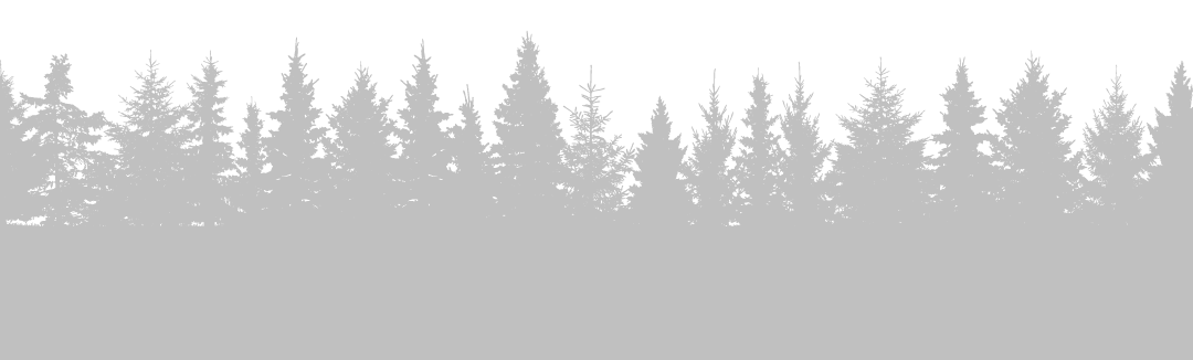 Schwarzwald Silhoutte 4